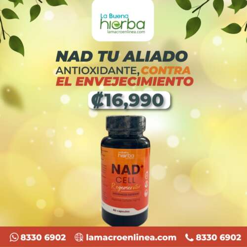 NAD Suplemento | Energía y Longevidad |